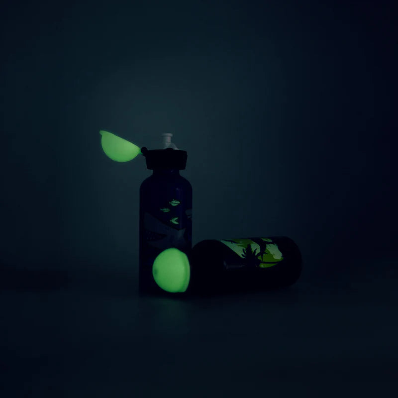 Sigg Trinkflasche KBT Glow Moon Dinos