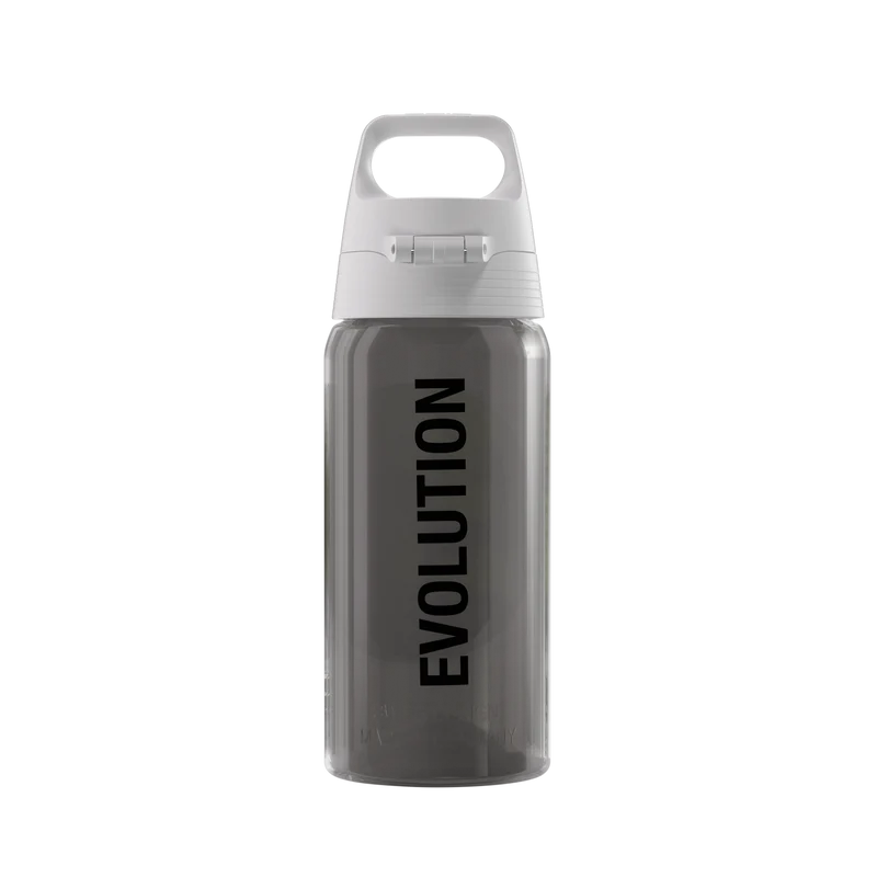 Sigg Trinkflasche Viva One Dinos