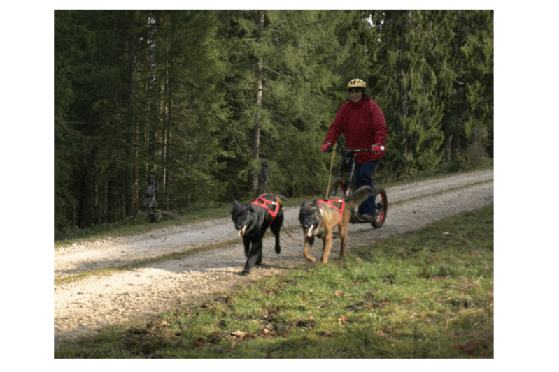 Gravity Montain Scooter M10 Trail