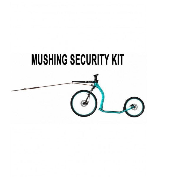 Gravity Mushing Line Two Dogs