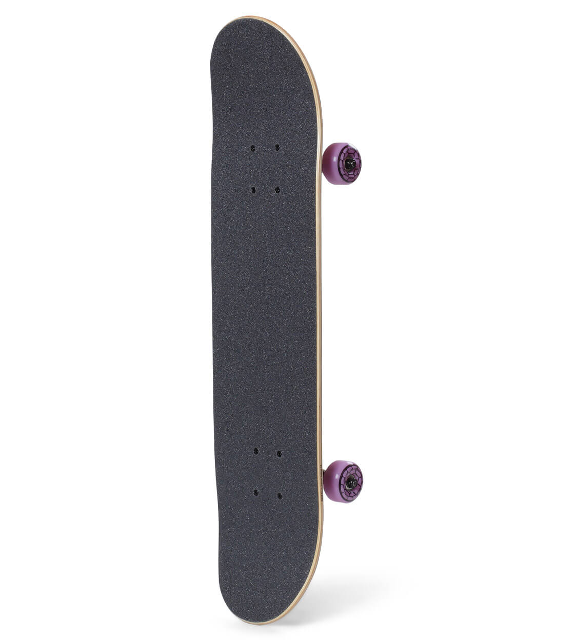 Santa Cruz Complete TMNT Allover Turtle
