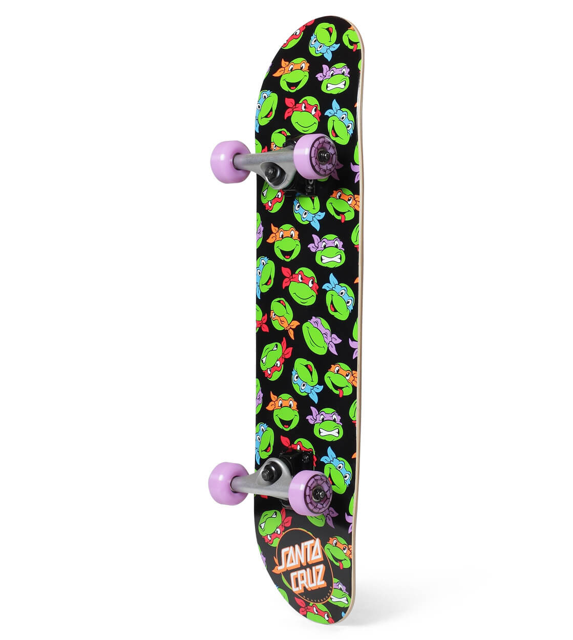 Santa Cruz Complete TMNT Allover Turtle