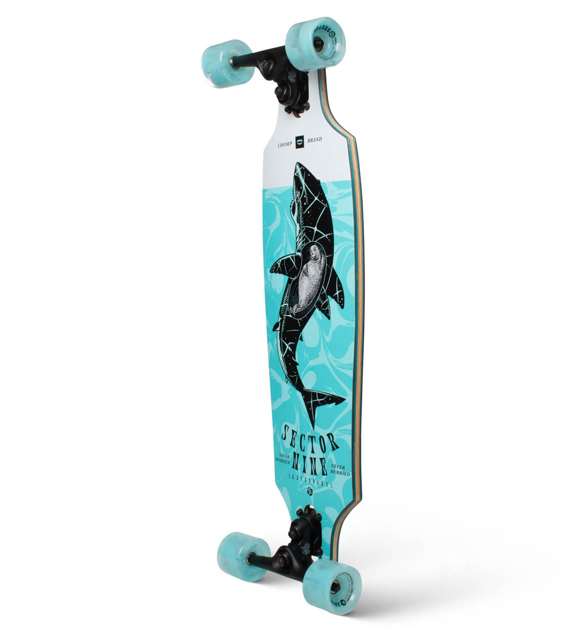 Sector 9 Longboard Roundhouse Great