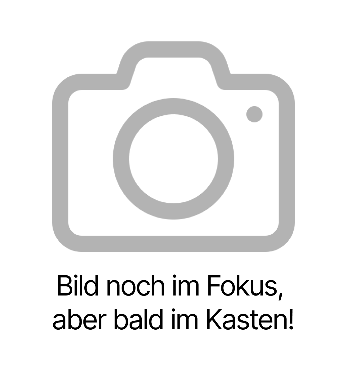 Kraftreaktor Liquid Chack